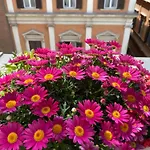 Terrazza Marco Antonio Luxury Casa de hóspedes Roma