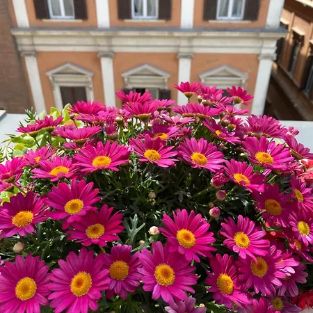 Terrazza Marco Antonio Luxury Pensjonat Rzym