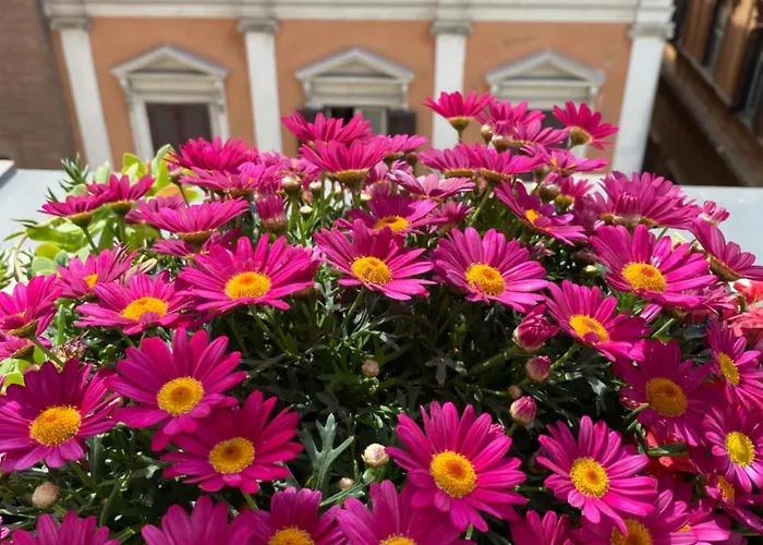 Terrazza Marco Antonio Luxury Guest house Rome